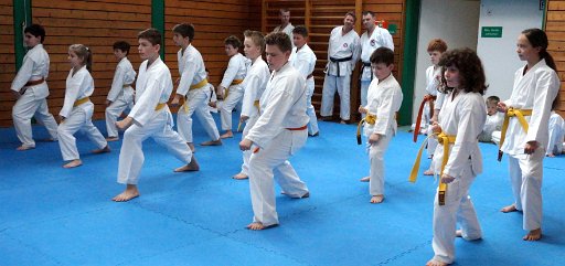 DSC03553 (Large).JPG